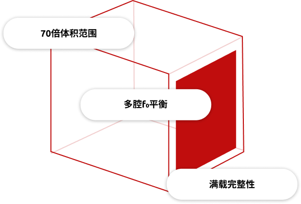 多腔袋灭菌关键因素示意图：70倍容积跨度控制、多腔F0平衡及满载完整性