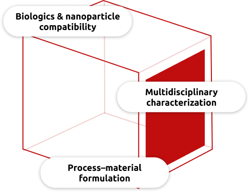 Key pillars of Fedegari glass vial processing technology for biopharmaceutical formulations and nanoparticle stability Key pillars of Fedegari glass vial processing technology for biopharmaceutical formulations and nanoparticle stability