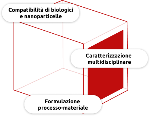 Punti cardine della tecnologia Fedegari per la lavorazione dei flaconi di vetro destinati alle formulazioni biofarmaceutiche e alla stabilità delle nanoparticelle Punti cardine della tecnologia Fedegari per la lavorazione dei flaconi di vetro destinati alle formulazioni biofarmaceutiche e alla stabilità delle nanoparticelle
