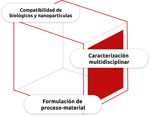 Pilares fundamentales de la tecnología de procesamiento de viales de vidrio de Fedegari para formulaciones biofarmacéuticas y la estabilidad de las nanopartículas